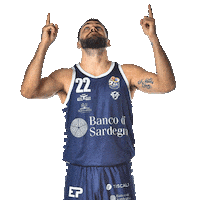 dinamo_sassari basketball basket dinamo stefano Sticker