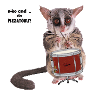 nikoand_official bushbaby ニコアンド nikoand pizzatoru Sticker