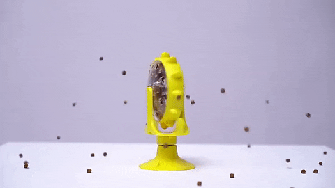 Novedisimos giphyupload GIF