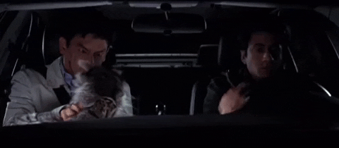 stevencervantes62a5b5dec0d54a529f588e34985d9a8c racoon haroldandkumar viciousracoon racoon funny GIF
