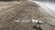 leaving good boy GIF by Polyvinyl Records