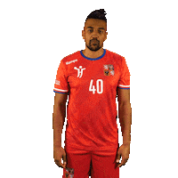 Ceska Hazena Sticker by Czech Handball