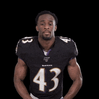 Baltimore Ravens Football GIF by NFL