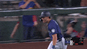 Celebrate Home Run GIF by MLB