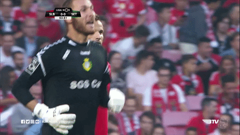 Sl Benfica Thumbs Up GIF by Sport Lisboa e Benfica