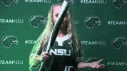 Softball GIF by RiverHawk Sports