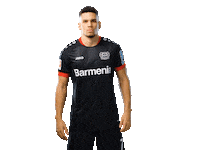 Bayer 04 Werkself Sticker by Bayer 04 Leverkusen