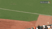 sf 137 GIF by MLB