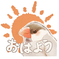 Sun Bird Sticker