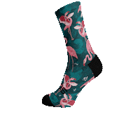 soxfootwear sox sox footwear soxfootwear Sticker