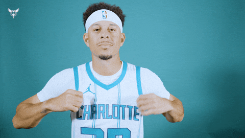 Hive Mentality Seth Curry GIF by Charlotte Hornets
