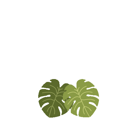 hoyabackgirl giphyupload green plant plants Sticker