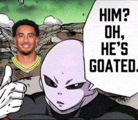 Green Bay Packers GIF