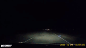 GIF by Demic