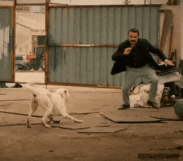 ecomvahub giphyupload aggressive dog dog barks excessive bark GIF