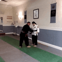 ajjmaplewood promotion ajjmaplewood GIF