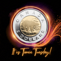 ToonieTuesday ukraine cyd toonie tuesday GIF