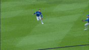 Blue Jays Baseball GIF by Toronto Blue Jays