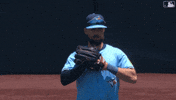 Stretching Blue Jays GIF by Toronto Blue Jays