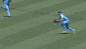 Blue Jays Baseball GIF by Toronto Blue Jays