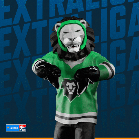 Hockey Hokej GIF by Tipsport extraliga
