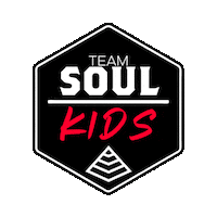 Crossfit Soulkids Sticker by crossfitsoulmiami