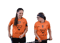 Floorball Sticker by Český florbal