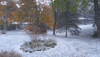 'Unacceptable': October Snow Dusts Wisconsin Trees as Temperatures Plummet