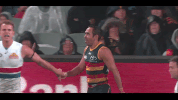 afl GIF by Adelaide Crows