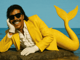 Awkward What The GIF by Jukebox Saints