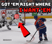 Edmonton Oilers Hockey GIF