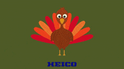 HEICOCorp thanksgiving heico thanksgiving GIF