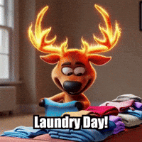Laundry Day Home GIF by elkijahspark