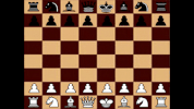 shows moves GIF