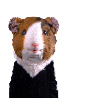 Oh No Omg Sticker by VGN Nürnberg