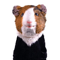 verkehrsverbundgrossraum_nbg thanks study merci uni Sticker