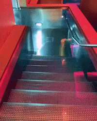 GIF by madmoiZelle