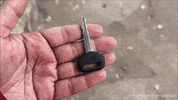 Driving Lets Go GIF by Namaste Car