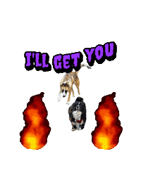 cassieadventuresoul dog run cassie chaise Sticker