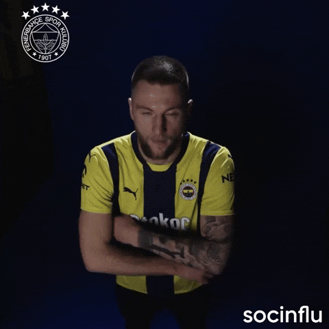 Milan Skriniar GIF by Socinflu