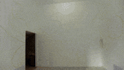 manuel perrin GIF