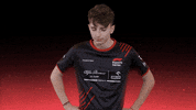 sauberesports no shake head sauber f1esports GIF