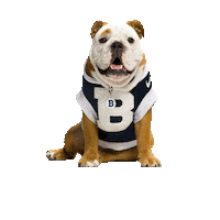Happy Butler Bulldogs Sticker by Butler University