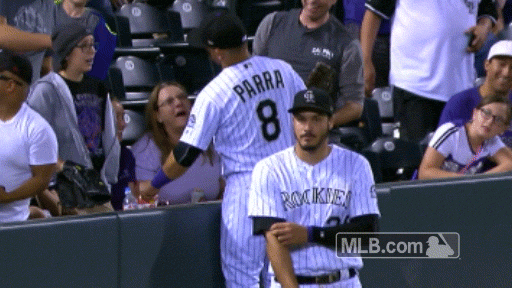 gerardo parra baseball GIF by MLB