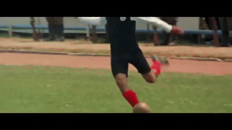 Dr_P giphygifmaker GIF