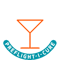 travel iceland Sticker