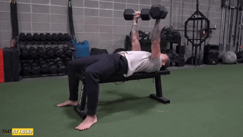 jake_that_fit_friend giphyupload alternating dumbbell bench press GIF