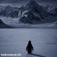 Penguin GIF