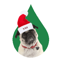 christmas pug Sticker by La SAQ