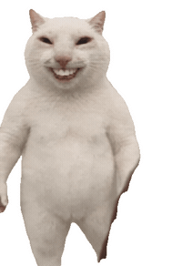 Happy White Cat Sticker